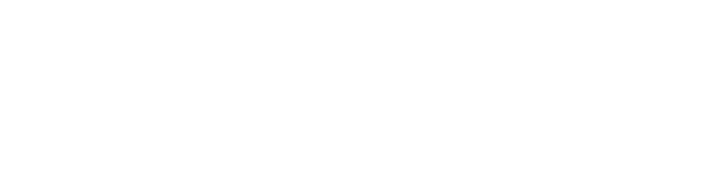 SSL LOGO WEB