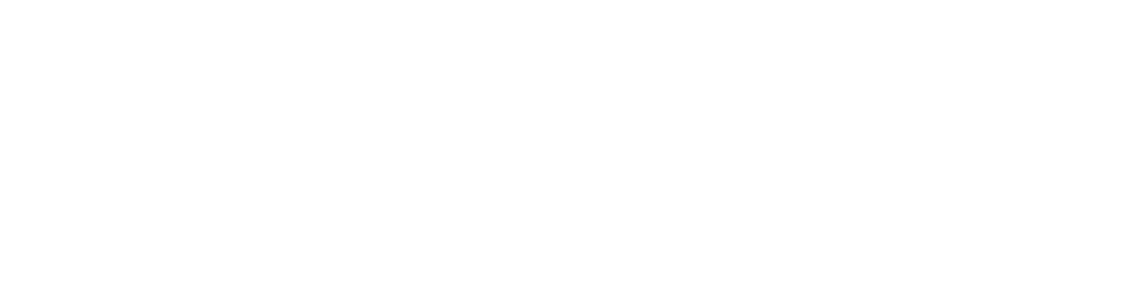 moog-final